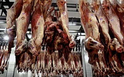 Después de 10 años, la Argentina vuelve a exportar carne a Malasia