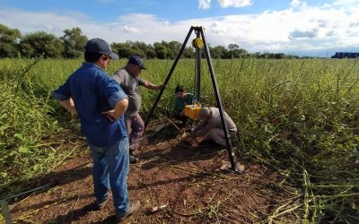 Ponen en funcionamiento una central solar para la producción de limones en Salta