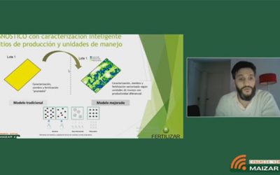 Estrategias de nutrición de maíz para ganar rendimiento