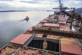 El poroto argentino se encuentra casi en paridad.