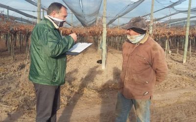 El RENATRE fiscalizó trabajadores frutícolas, olivícolas, avícolas y de pasturas en Mendoza