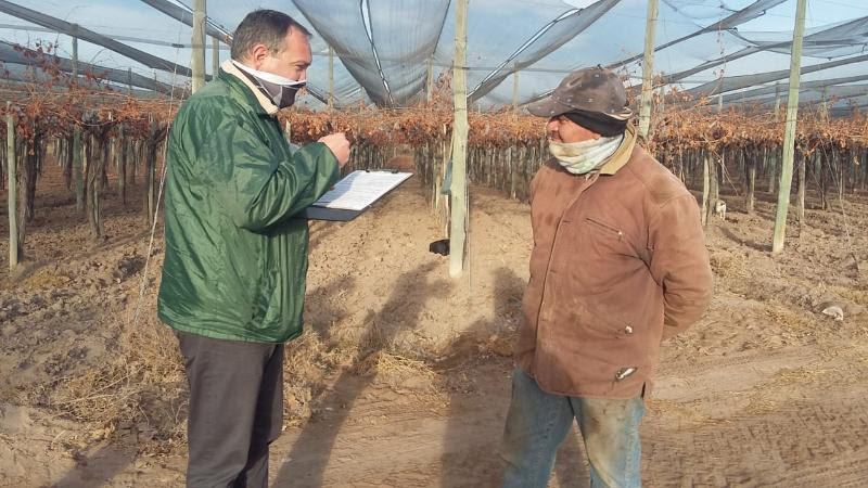 El RENATRE fiscalizó trabajadores frutícolas, olivícolas, avícolas y de pasturas en Mendoza