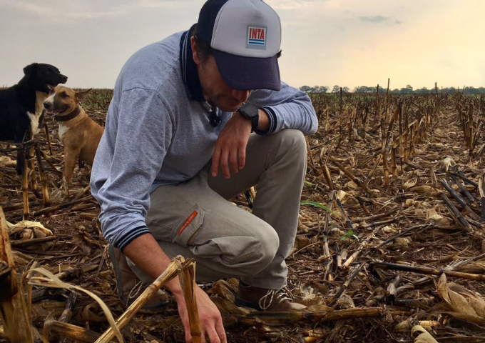 ¿Qué sucede luego de veinte años de siembra directa?