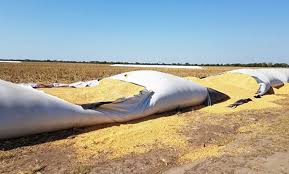 Massa presentó un proyecto de Ley para combatir el vandalismo rural con penas de hasta 25 años de prisión