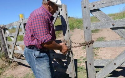 En quintales, a porcentaje, contrato mixto y siembras asociativas: cómo y a qué precio se negocian los arrendamientos agrícolas