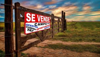 La compra-venta y alquiler de campos subió casi un 90% en un mes