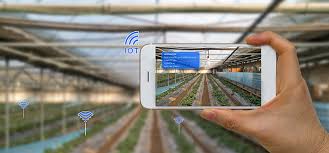 Campo 4.0: Big data, sensores remotos e Inteligencia artificial