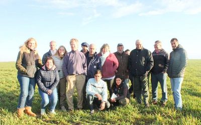 El grupo de productores que se unió para llegar con la carne ovina a la mesa de los argentinos