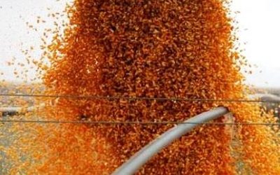 La liquidación de divisas del agro alcanza un récord histórico en el primer semestre del año