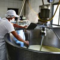 Argentina cumple la totalidad de la cuota de lácteos exportados a Colombia