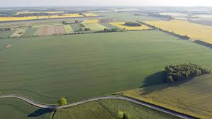 Se recupera lentamente la actividad del mercado inmobiliario rural