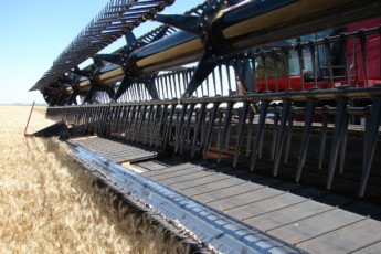 Las cosechadoras demandan un mayor recambio para bajar la obsolescencia