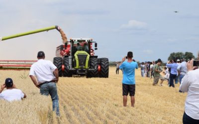 ¿Qué dificultades existen para importar máquinas agrícolas?