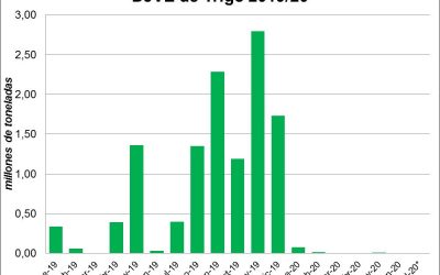 Denuncia CARBAP distorsión en el precio del trigo argentino