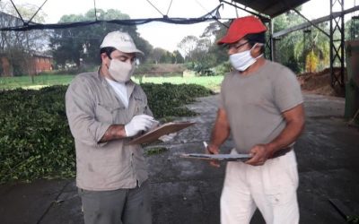 El RENATRE relevó la situación de 328 trabajadores en Misiones