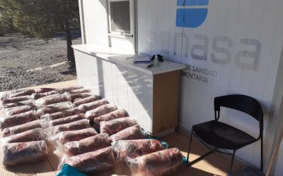 Donación de 13,5 toneladas de alimentos a entidades de bien público