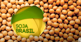 ¿Brasil le podría comprar soja a la Argentina?