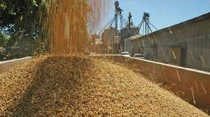 ¿Quién tenía la soja?