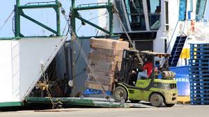 Argentina y Sri Lanka inician certificación electrónica en el comercio de vegetales