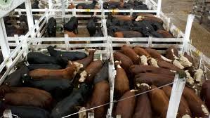 El negocio de Ganados y Carnes está activo