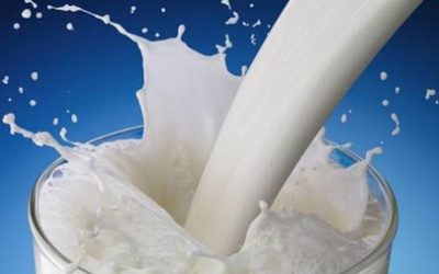 El Gobierno dio marcha atrás con cambios en impuestos a la leche