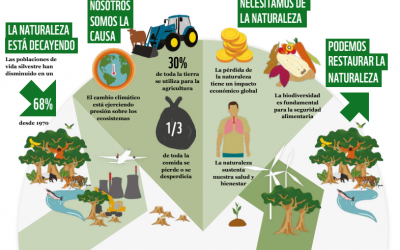 Latinoamérica, la región con mayor reducción de biodiversidad en el mundo