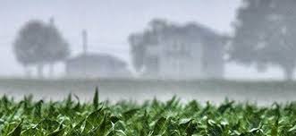 Prevén moderado ascenso térmico con lluvias escasas en la mayor parte del área agrícola