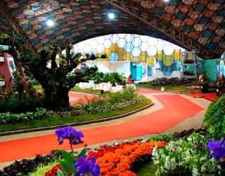 La Fiesta Nacional de la Flor de Escobar, se realizará de forma virtual a partir de mañana