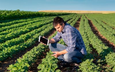 Alianza interinstitucional por la sustentabilidad