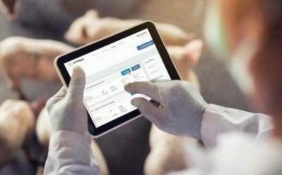 Rosporc: los números del mercado digital de cerdos a dos meses de su lanzamiento