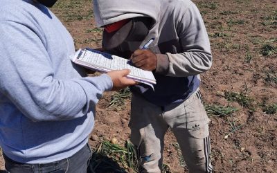 El RENATRE detectó trabajo infantil prohibido en un establecimiento hortícola en Santiago del Estero