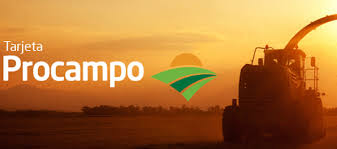 Banco Provincia: $ 7 mil millones para financiar al agro con tasa 0%