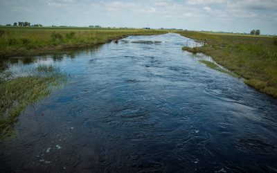 Planificar el uso del agua para afrontar variaciones climáticas