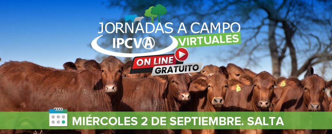 Hoy se llevó a cabo la jornada a campo virtual del IPCVA en Salta!