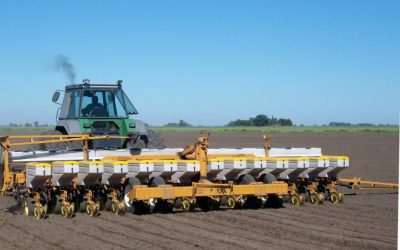 El mercado inmobiliario que sorpresivamente quedó insatisfecho