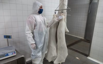 La provincia de Córdoba exporta por primera vez carne caprina con hueso a Sri Lanka