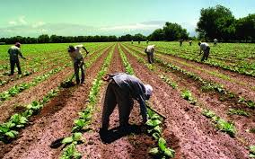 La UATRE acordó nuevos incrementos salariales para los trabajadores rurales