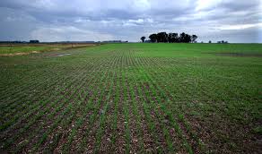 Prevén precipitaciones escasas con moderada entrada de vientos polares