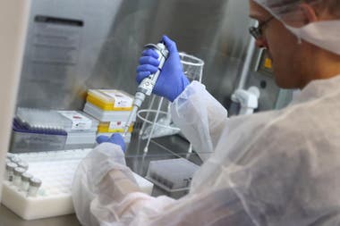 Coronavirus en la Argentina: confirmaron 452 muertes y 11.242 nuevos contagios en las últimas 24 horas