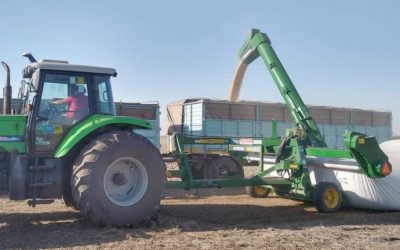 La suba de precios vuelve cada vez más positiva la relación granos/máquinas