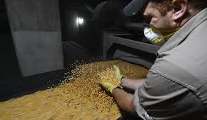 Recibidores de granos recibirán aumento de 15 mil pesos a cuenta de la paritaria y se destrabó el conflicto