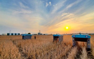 Google trae a la Argentina los robots que monitorean “planta por planta”