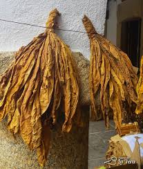 la Fundación Sales hará entrega de un camión con sistema de frío a la Cooperativa Integral Limitada de Wanda, Misiones