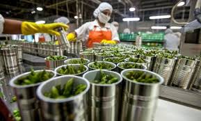 El 22% del empleo nacional viene de la agroindustria