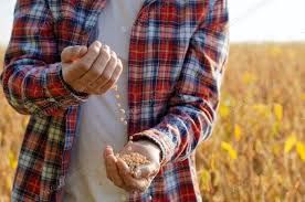 En la Argentina ya se necesitan tres “dólares soja” para comprar un dólar auténtico