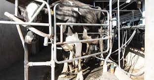 Basterra recibió a representantes de la Junta Intercooperativa de Productores de Leche