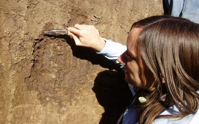 La microbiología del suelo revoluciona la producción agropecuaria