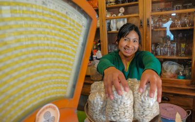 E-LEVENC , la primera vidriera virtual agroalimentaria