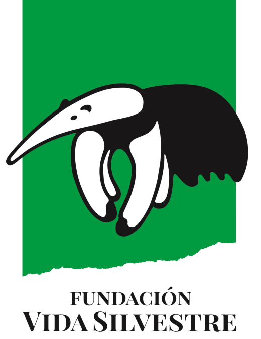 Eficiencia Energética: una clave para la “nueva normalidad”