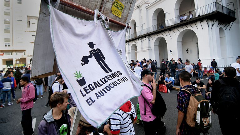 Cannabis: el Gobierno legalizó el autocultivo para uso medicinal y el expendio de aceites en farmacias